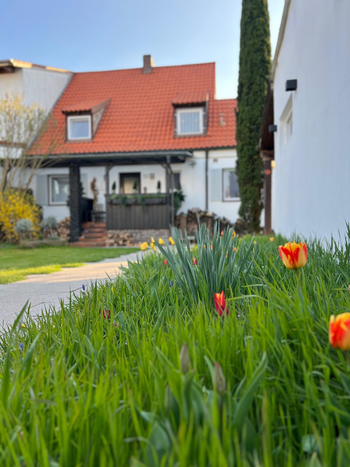 Haus mit Garten (1)